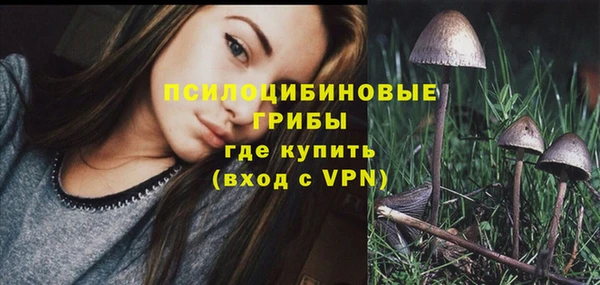 синтетический гашиш Коряжма