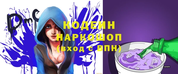 СК Корсаков