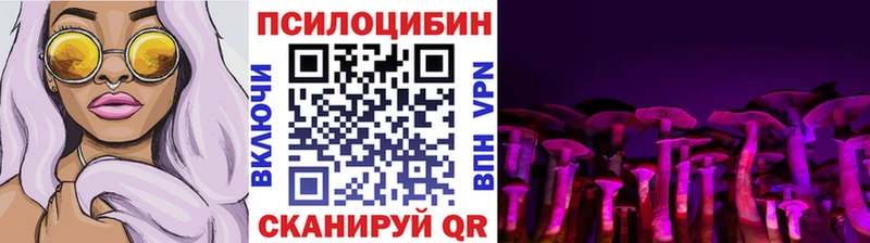 Псилоцибиновые грибы Magic Shrooms  Купить закладки  Балабаново 